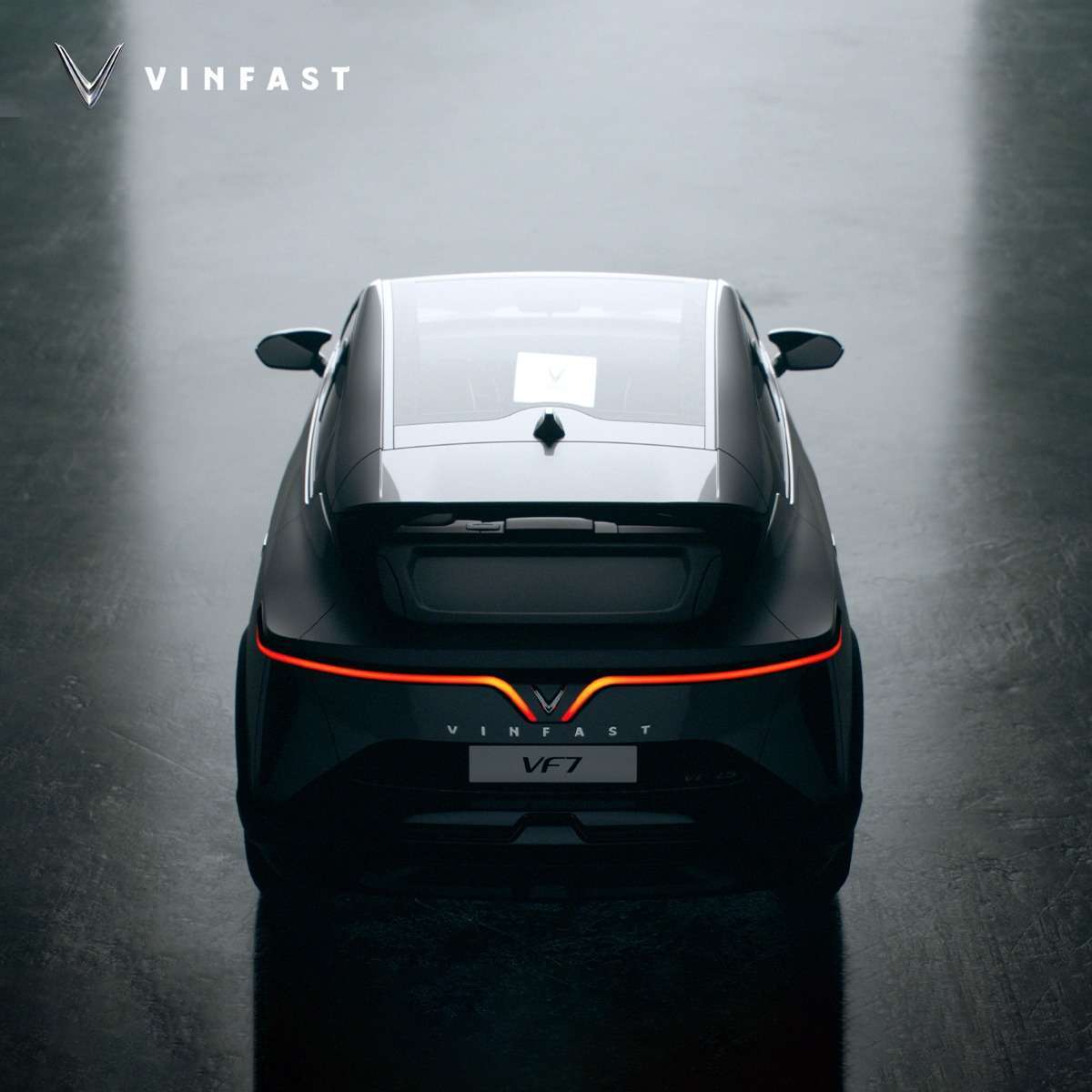 VF7 (1)